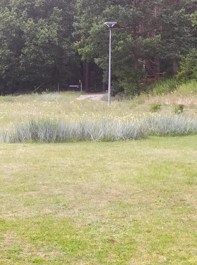 סמולג'ינסקי לאס Smoldzinski Forest מראה חיצוני תמונה